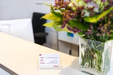 Rezeption
